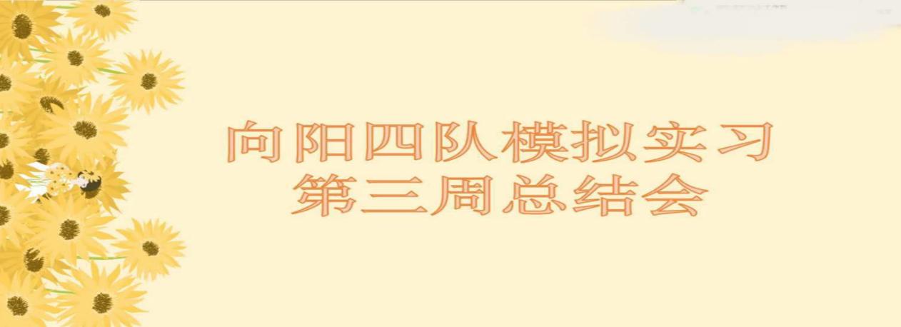 B体育