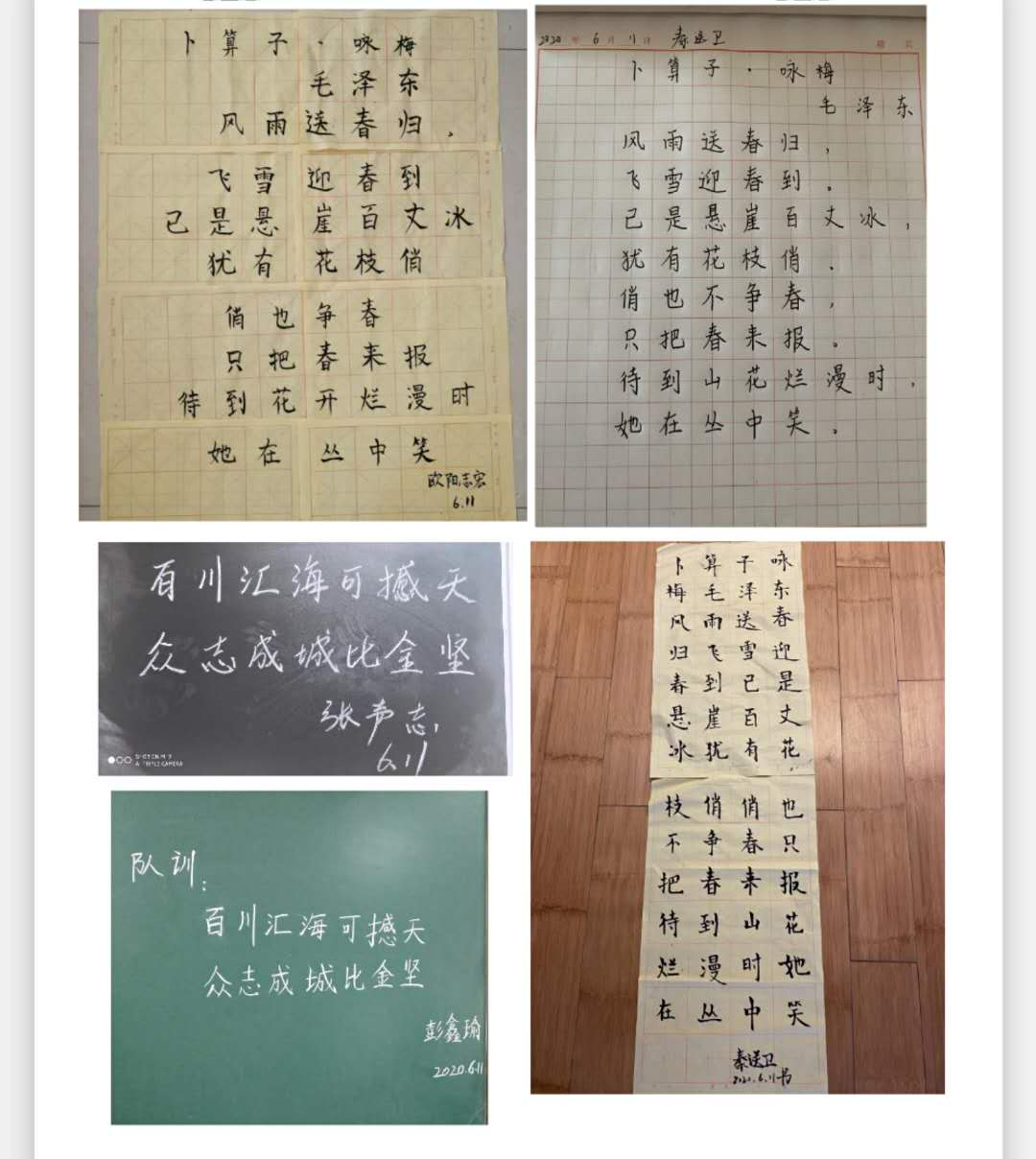 B体育
