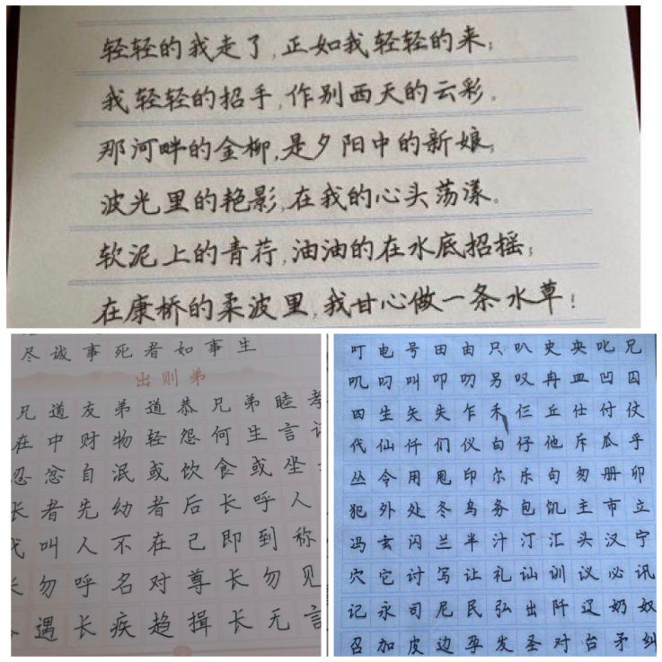 B体育