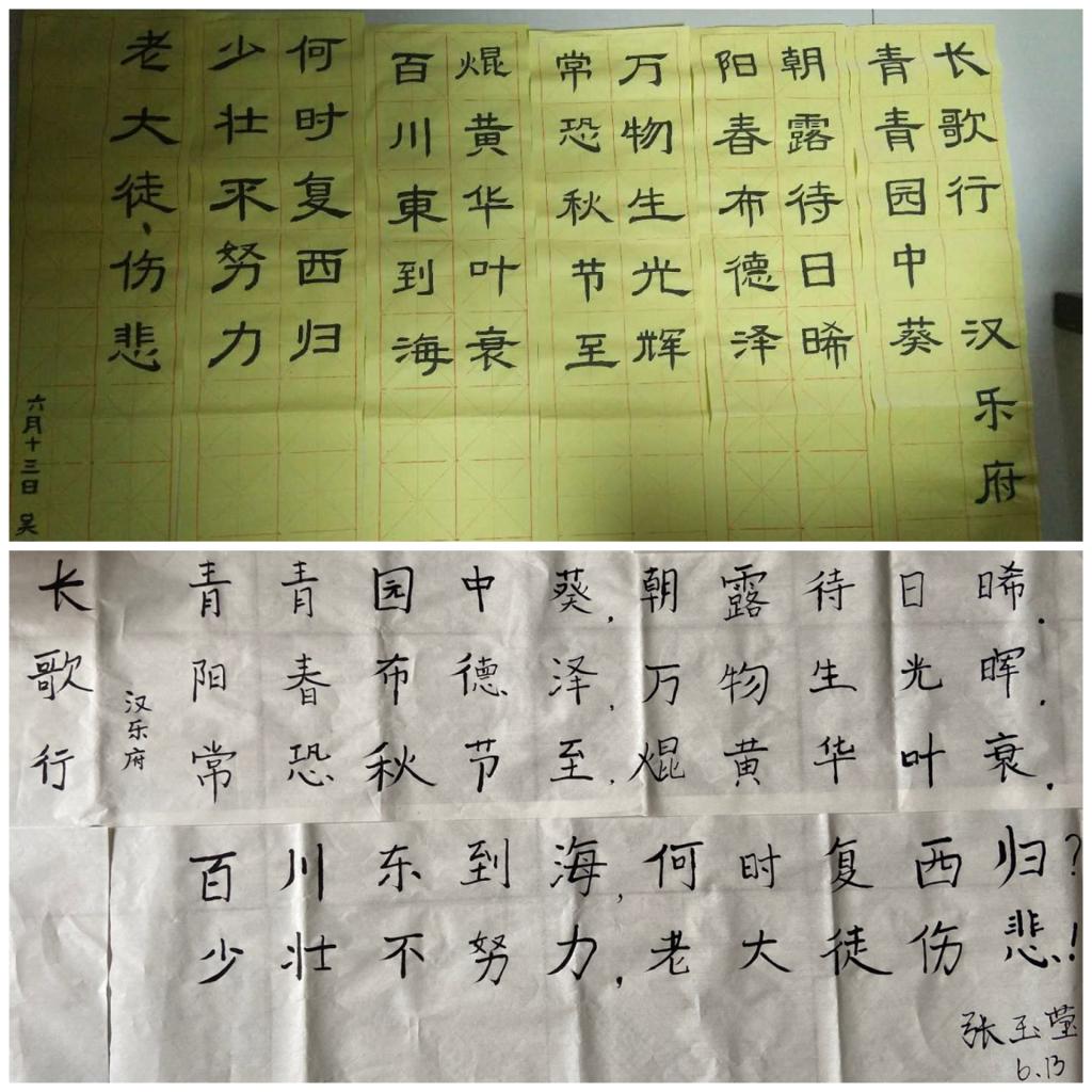 B体育